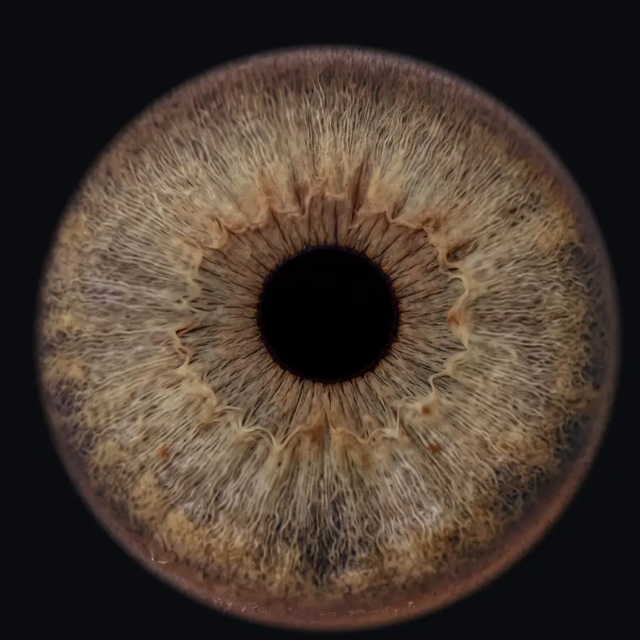 Example 4K iris portrait: grey-green, hazel-brown centre