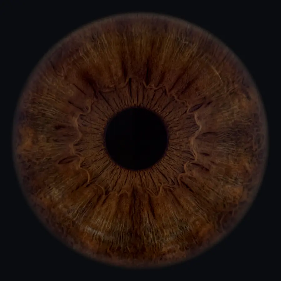 Example 4K iris portrait: deep brown, copper fibres